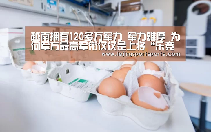 越南拥有120多万军力 军力雄厚 为何军方最高军衔仅仅是上将“乐竞体育”(图4) 乐竞体育官方网站