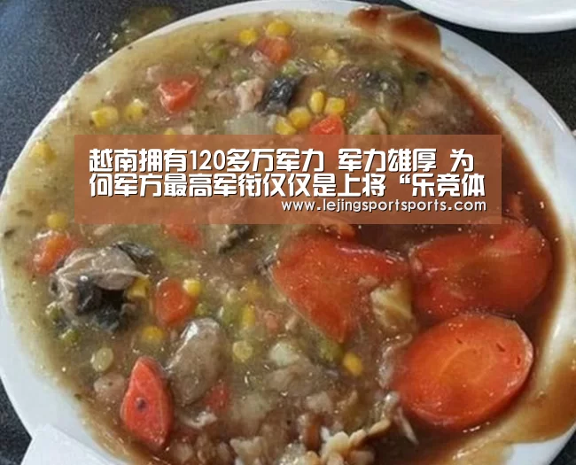 越南拥有120多万军力 军力雄厚 为何军方最高军衔仅仅是上将“乐竞体育”(图1) 乐竞体育官网入口